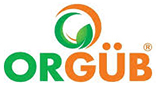 Orgüb